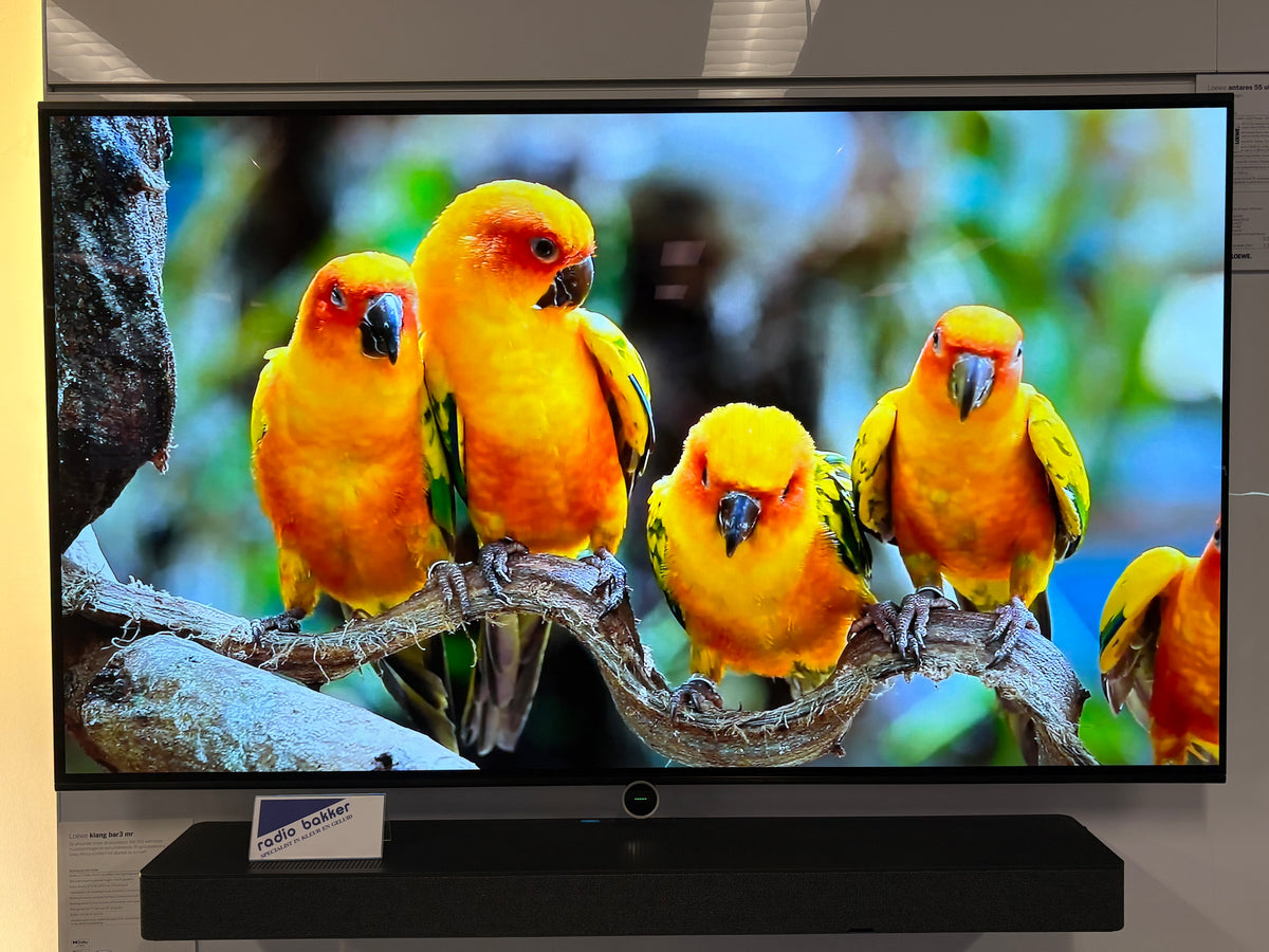 Loewe Antares 55 OLED